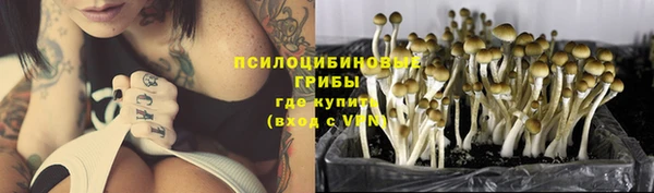 не бодяженный Аркадак