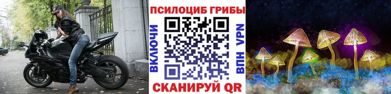 Псилоцибиновые грибы Cubensis  Кирс 
